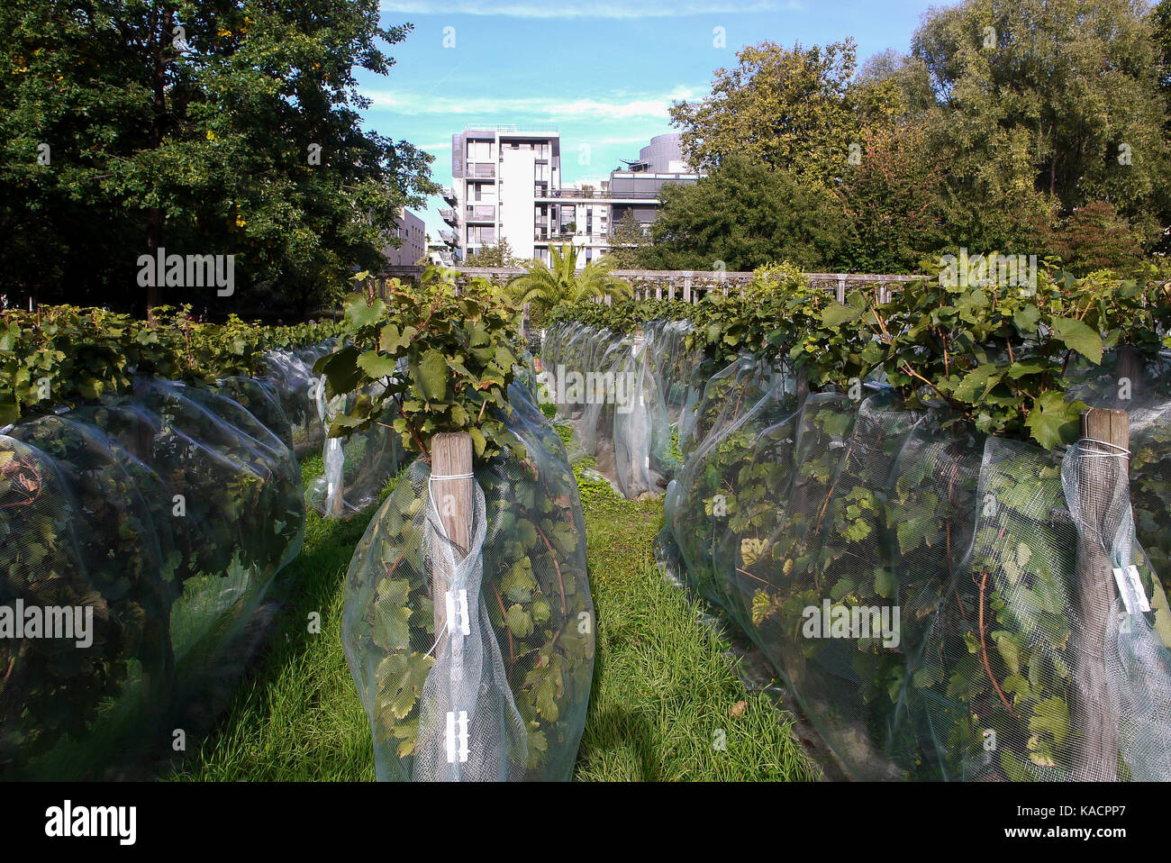 House of Gardening teaches practical experience to amateur gardeners at