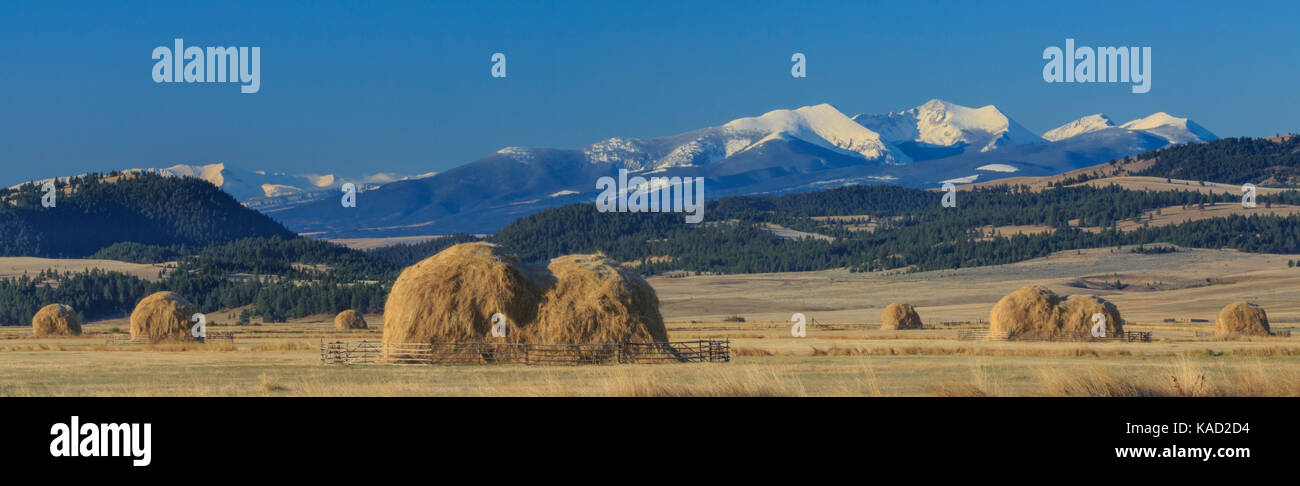 panorama of haystacks in fields below peaks of the flint creek range ...