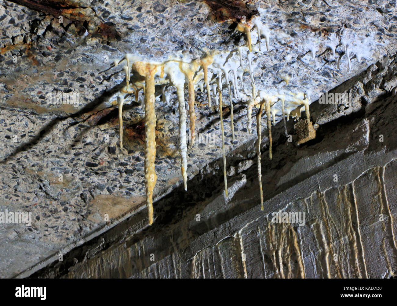 Salt and limes leaching from concrete forms stalactites in basement