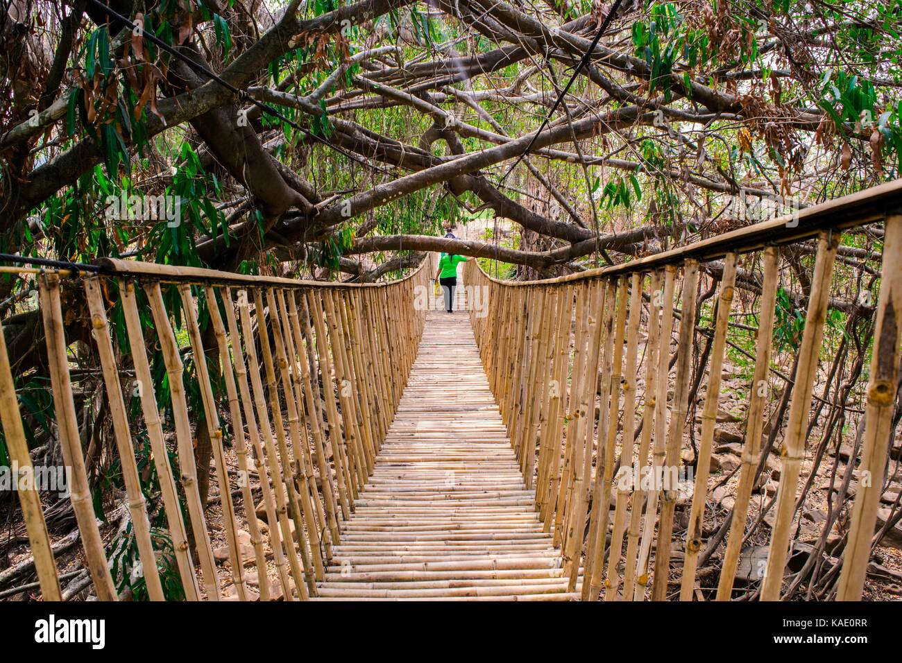 Hanging rope bridge vanishing hi-res stock photography and images - Alamy