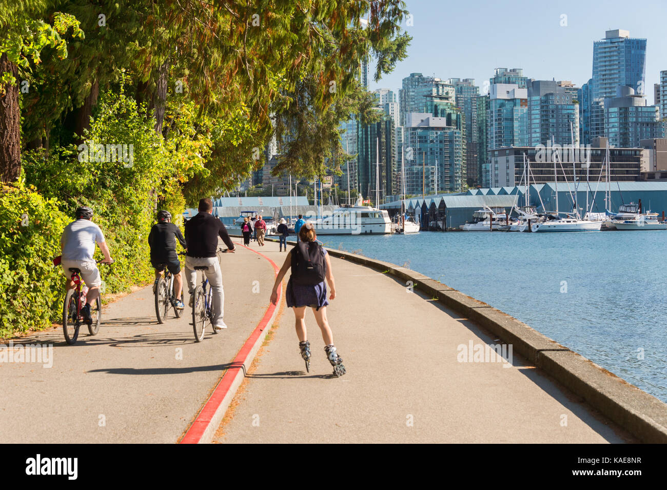 Vancouver, British Columbia, Canada - 14 September 2017: Stanley Park and Vancouver Skyline in summer Stock Photo
