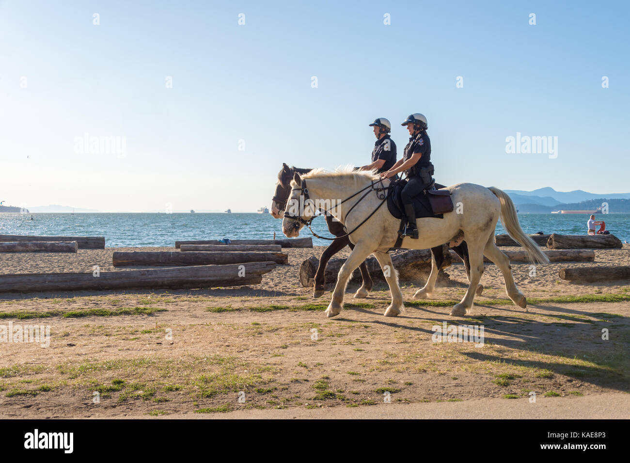 Horse Mounted Police (RCMP) at Vancouver English Bay beach in summer. Vancouver, British Columbia, Canada - 14 September 2017. Stock Photo