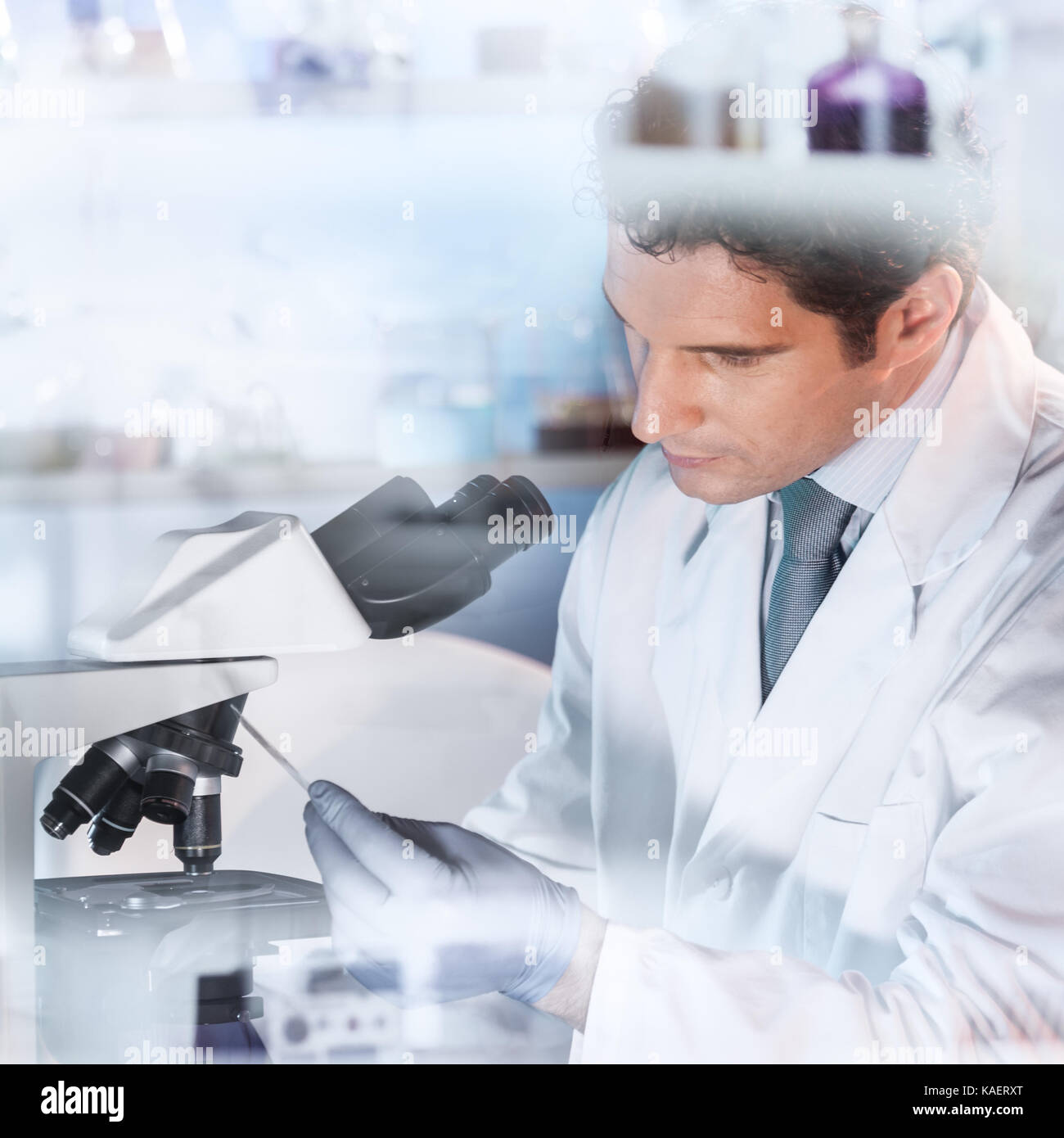 Life scientist researching in the laboratory Stock Photo Alamy