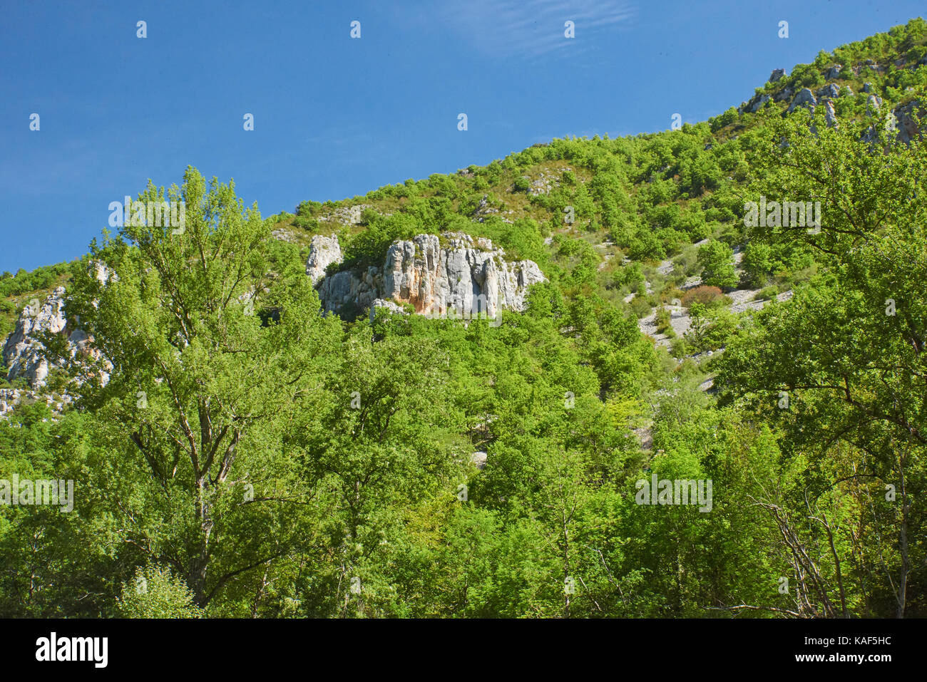 Gorges du Tarn on a boat Stock Photo