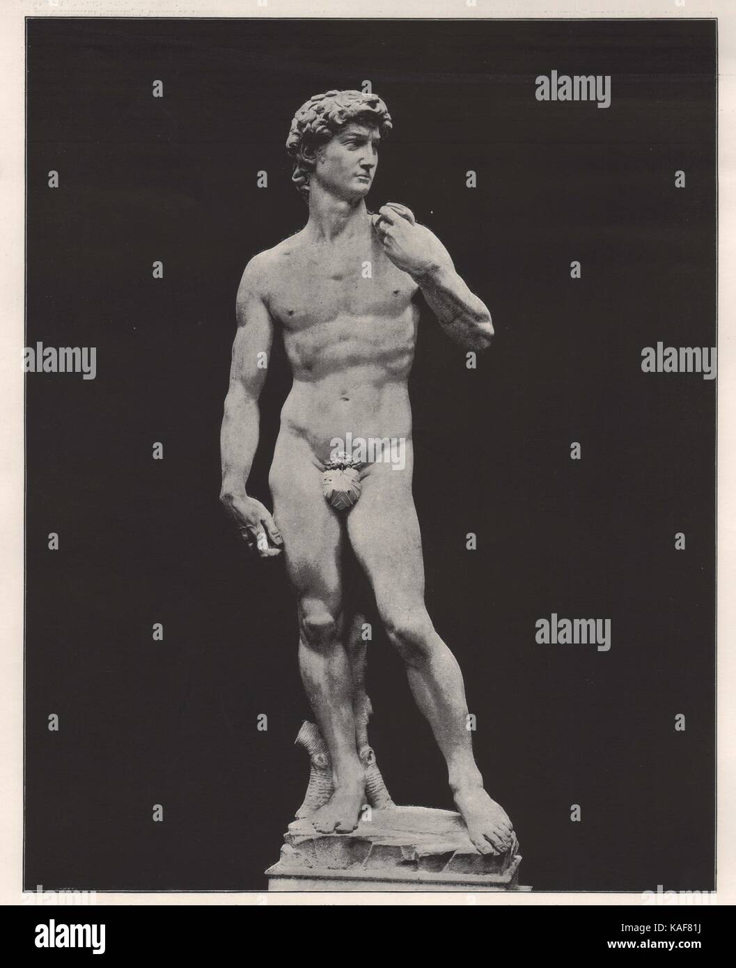 Statue Of David Florence Stock Photo Alamy Statue of david florence stock photo alamy