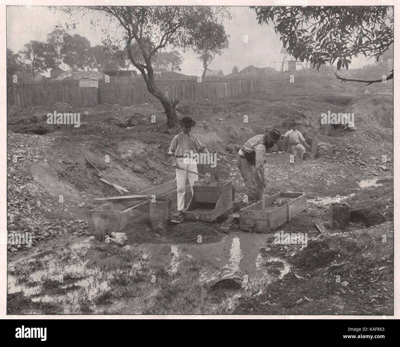 GoldDigging in Australia Stock Photo Alamy