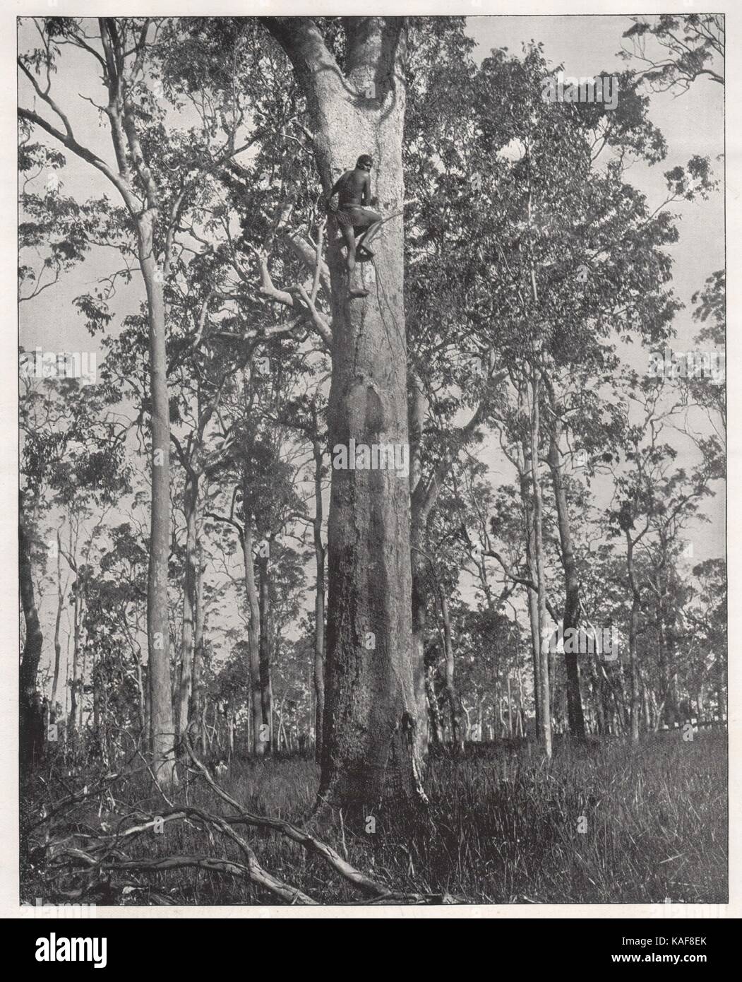 Aboriginal hi-res stock photography and images - Alamy