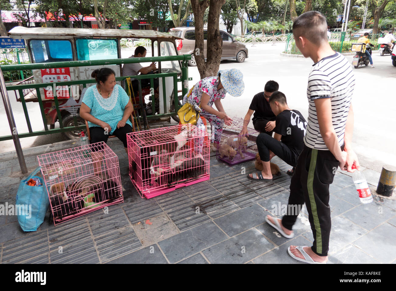 Dog market china chinese hires stock photography and images Alamy