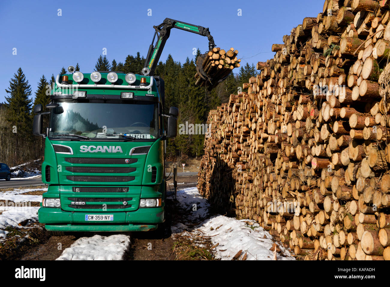 Timber industry: loading of Norway spruce trunks into a truck in a forest of the Franche-Comte department (central-eastern France), wood for the produ Stock Photo