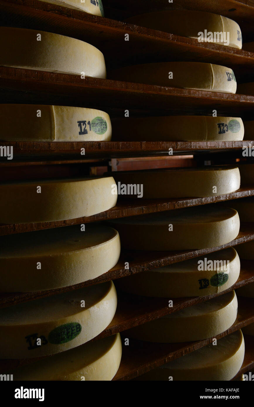 Doubs department (central-eastern France), town of Maisons-du-Bois-Lievremont: ripening of Comte cheese in a maturing cellar, at Fruitiere de la Brune Stock Photo