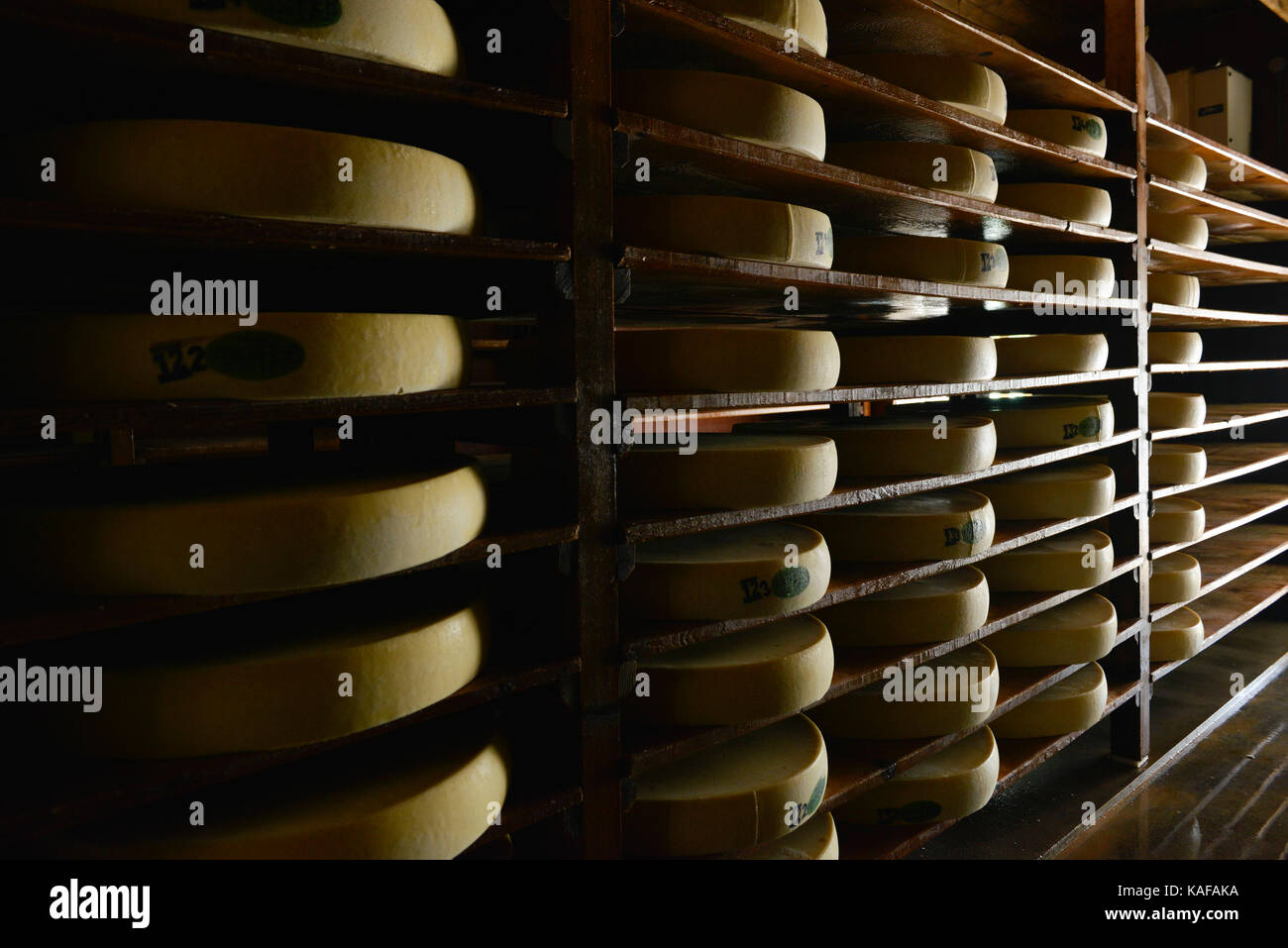 Doubs department (central-eastern France), town of Maisons-du-Bois-Lievremont: ripening of Comte cheese in a maturing cellar, at Fruitiere de la Brune Stock Photo