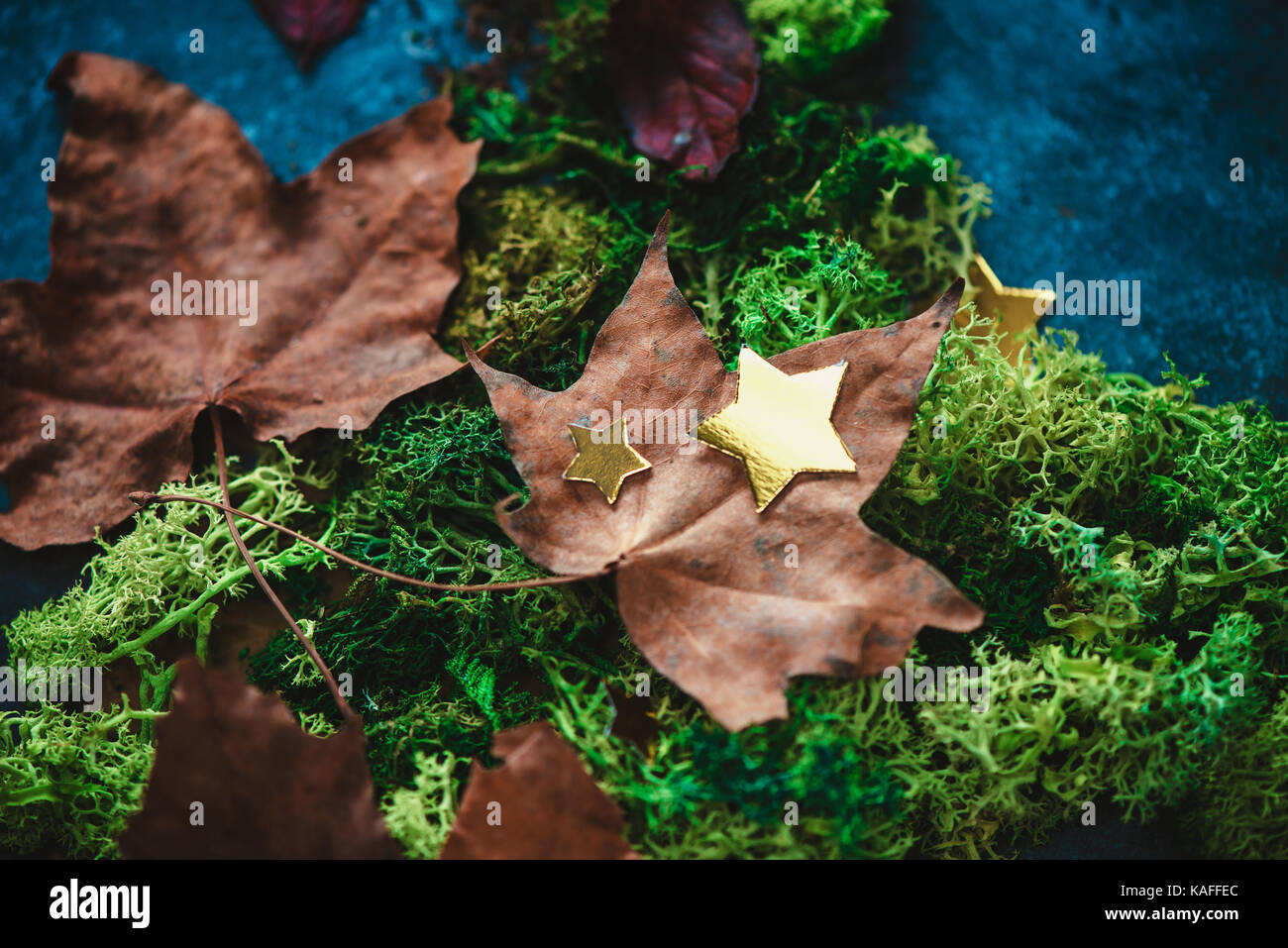 Autumn leaves on a green moss with golden stars. Fall header with copy space in cold tones. Close-up of leaf texture. Stock Photo