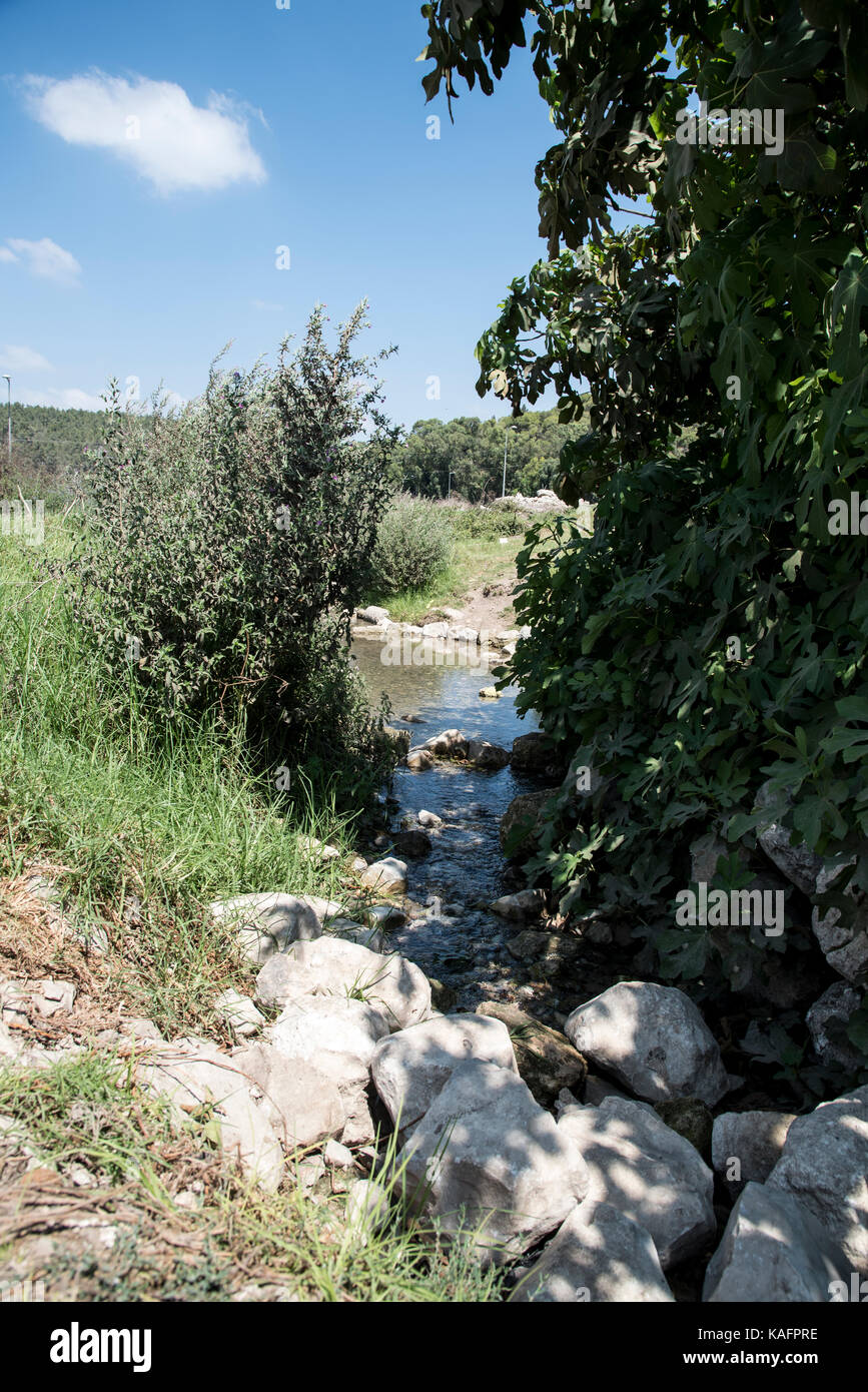 Zippori Spring. This spring, located near the ancient city of Sepphoris (Zippori) in the Galilee