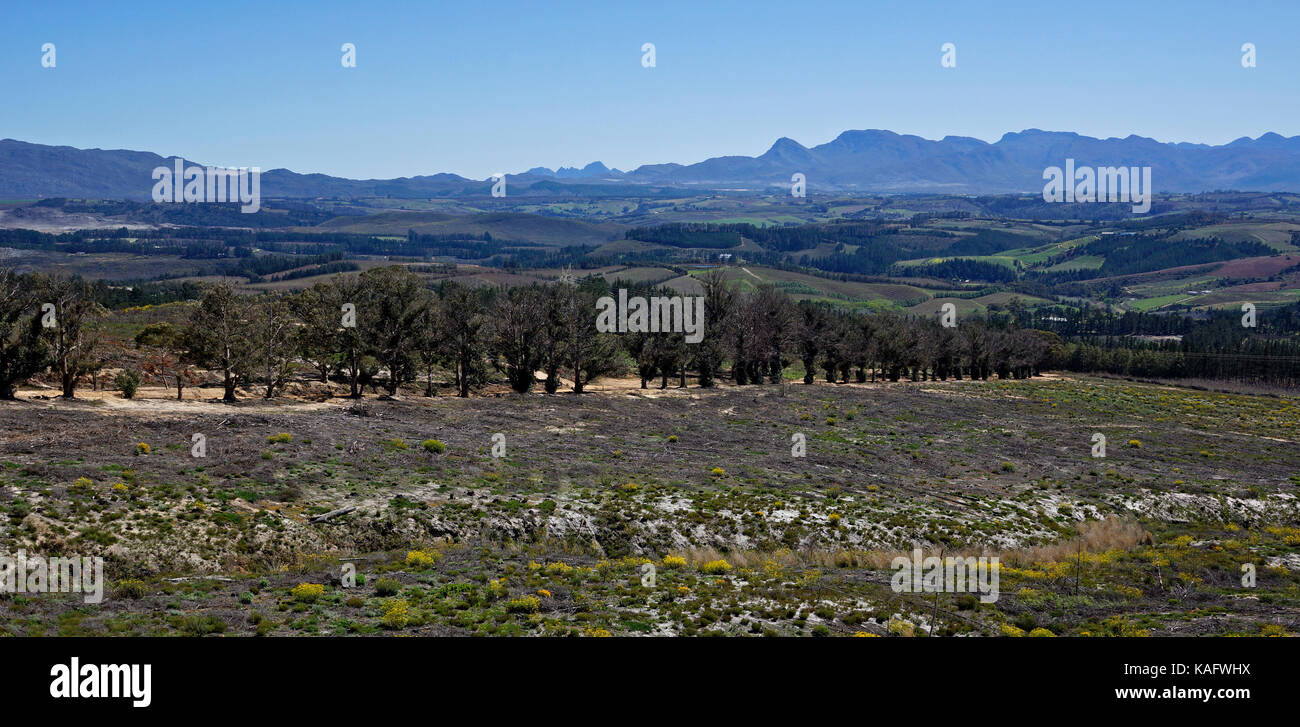 Overberg landscape, Western Province of South Africa. Stock Photo