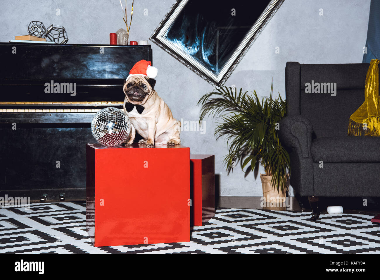 pug puppy in santa hat Stock Photo - Alamy