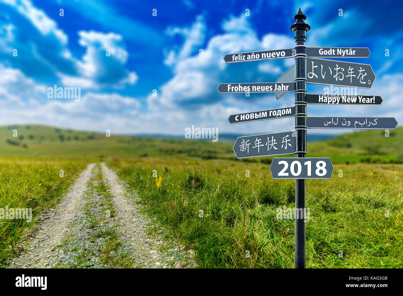 Signpost whit Happy New Year in many languages, field way in background Stock Photo