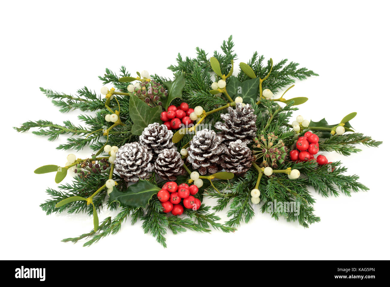 Holly Berries And Leaves With Christmas Sprigs And Pinecones Stock