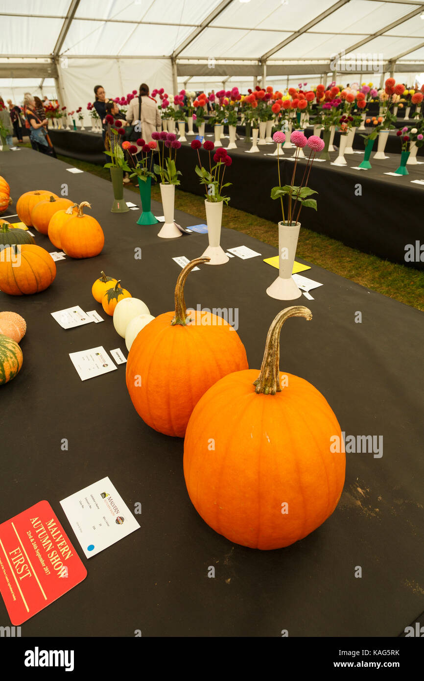 Vegetables at the Three Counties Autumn Show, Malvern. Stock Photo
