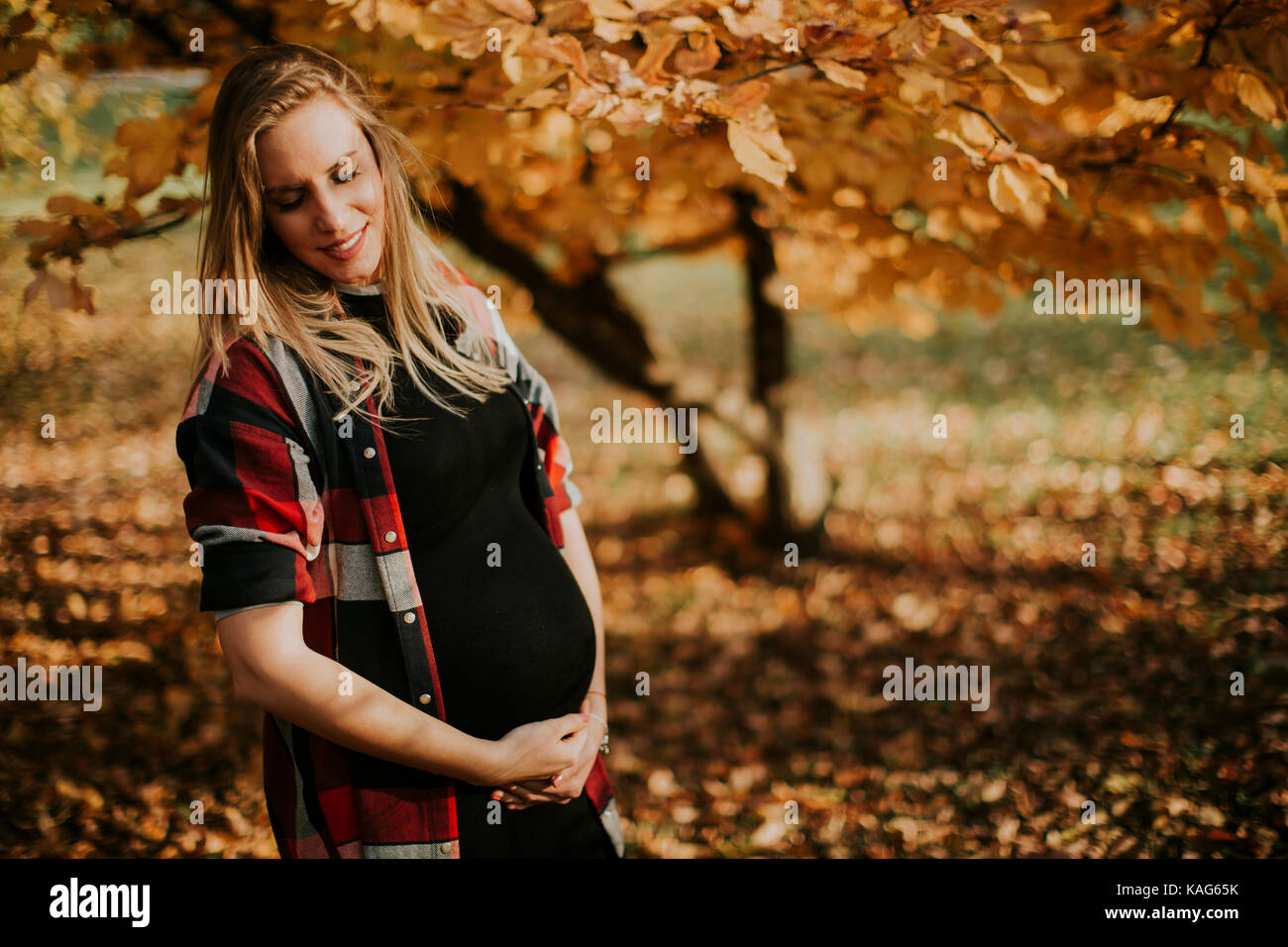 Pretty young pregnant woman in the autumn park on a sunny day Stock ...