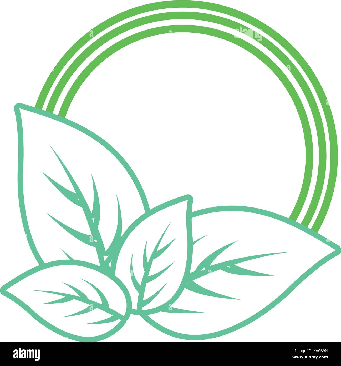 Vector Rpund Leave Frame round frame with leaves vector illustration Stock Vector Image & Art ...