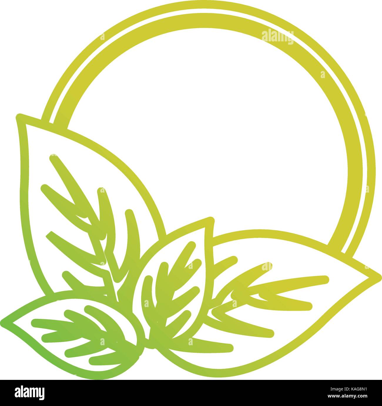 Vector Rpund Leave Frame round frame with leaves vector illustration Stock Vector Image & Art ...
