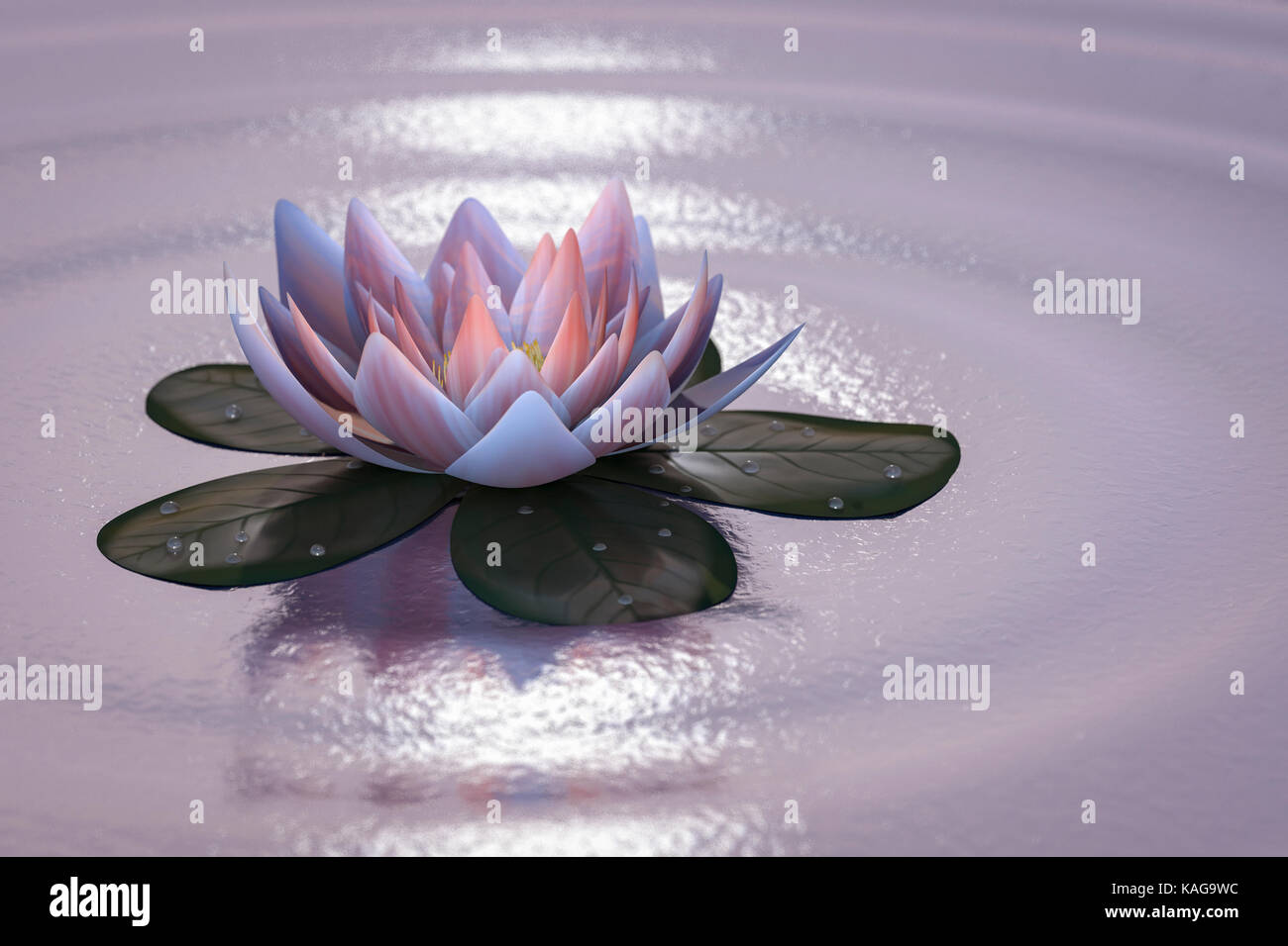 a lotus flower good for relaxation Stock Photo Alamy