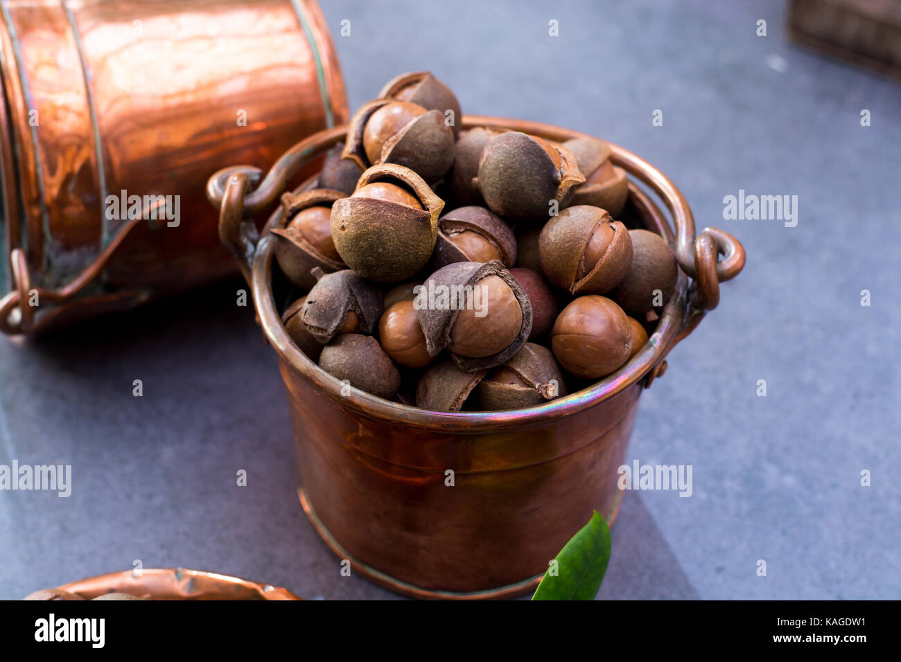 Australian macadamia nuts, unpeeld fresh harvest close up Stock Photo