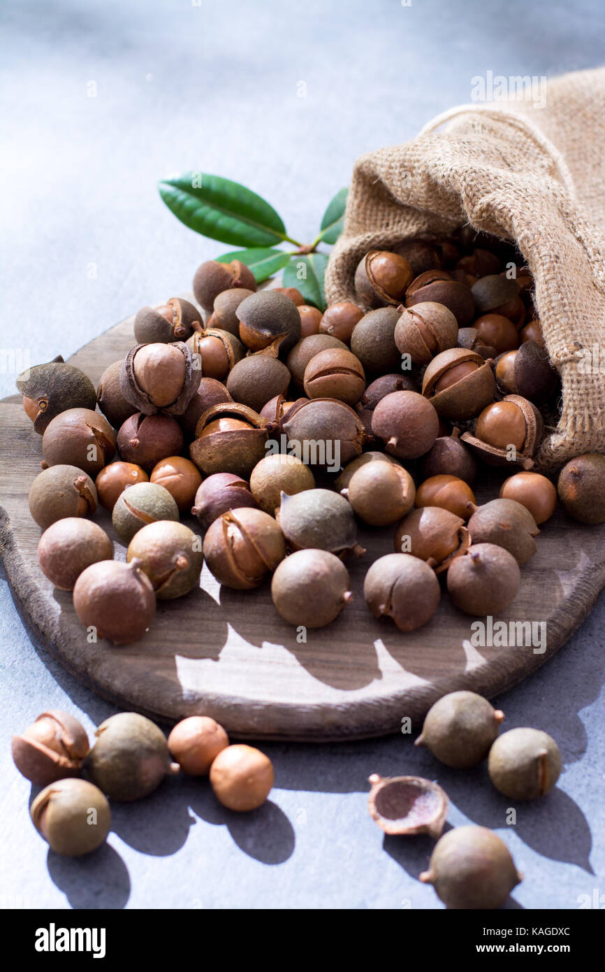 Australian macadamia nuts, unpeeld fresh harvest close up Stock Photo