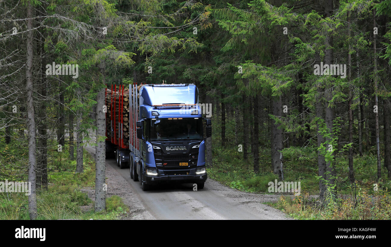 LAUKAA, FINLAND - SEPTEMBER 22, 2017: Blue Scania R650 XT logging truck emerges between spruce trees on a test drive along forest road during Scania L Stock Photo