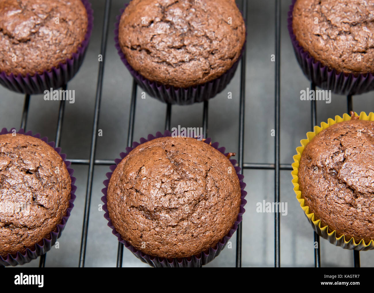 Chocolate cupcakes cooling on wire rack Stock Photo Alamy