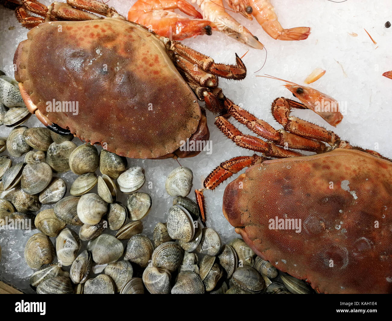 crabs and clams on the market Stock Photo Alamy