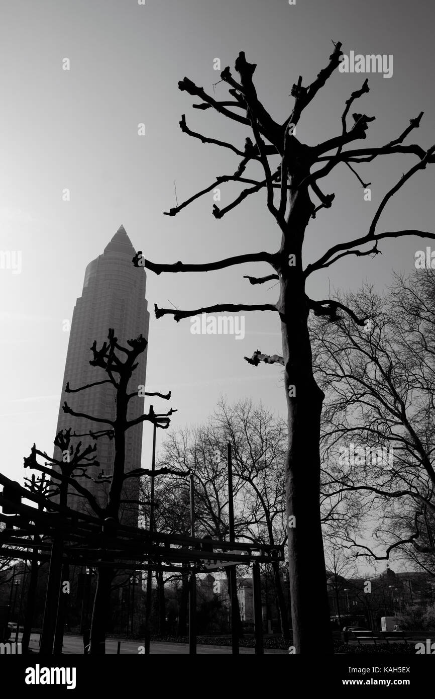 Frankfurt am Main, Germany - March 16, 2017: Contrast silhouettes of leafless plane-trees with Messeturm (Trade Fair Tower) in the haze on the backgro Stock Photo