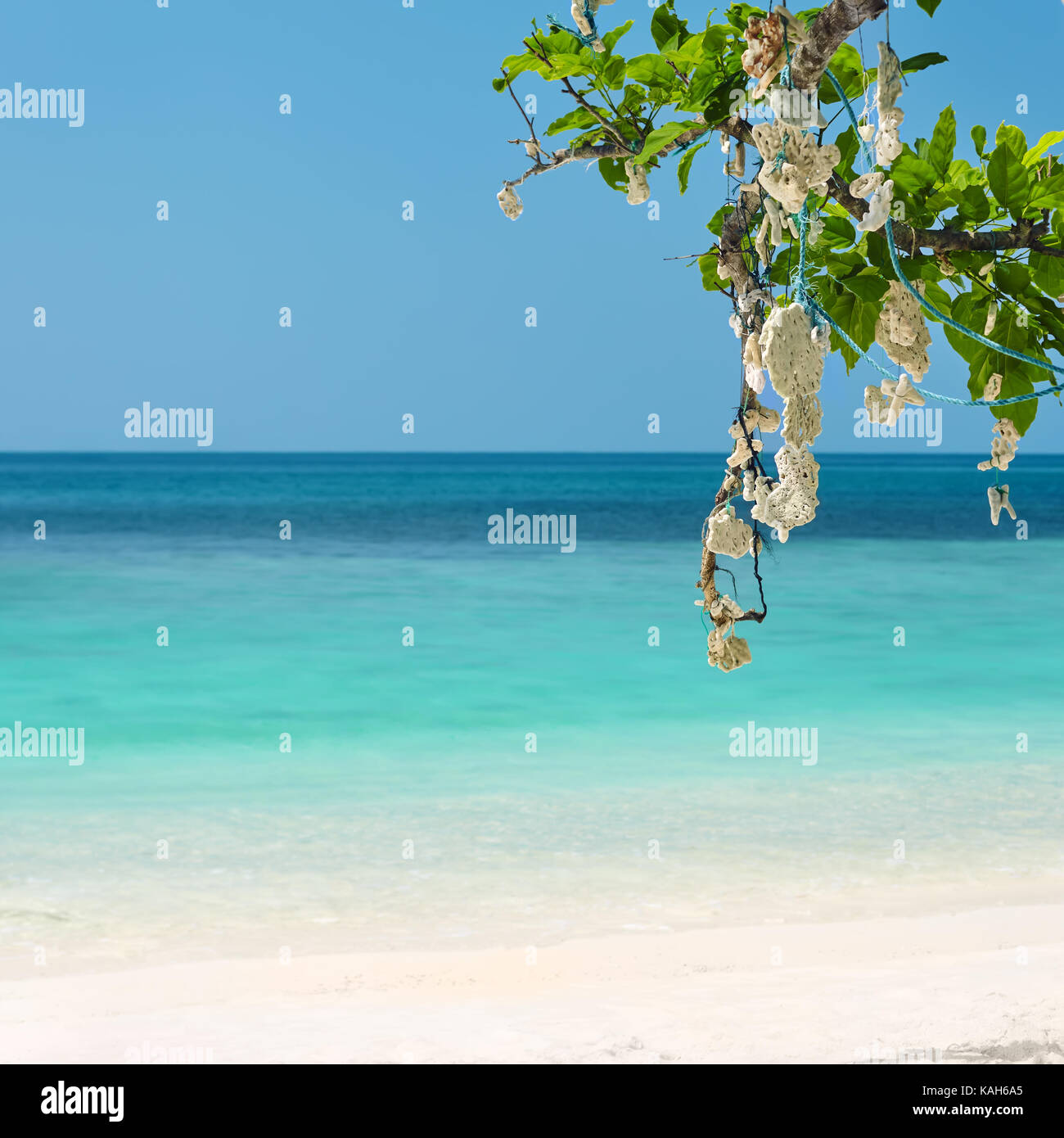 tropical sea and corals. Sea vacation Stock Photo