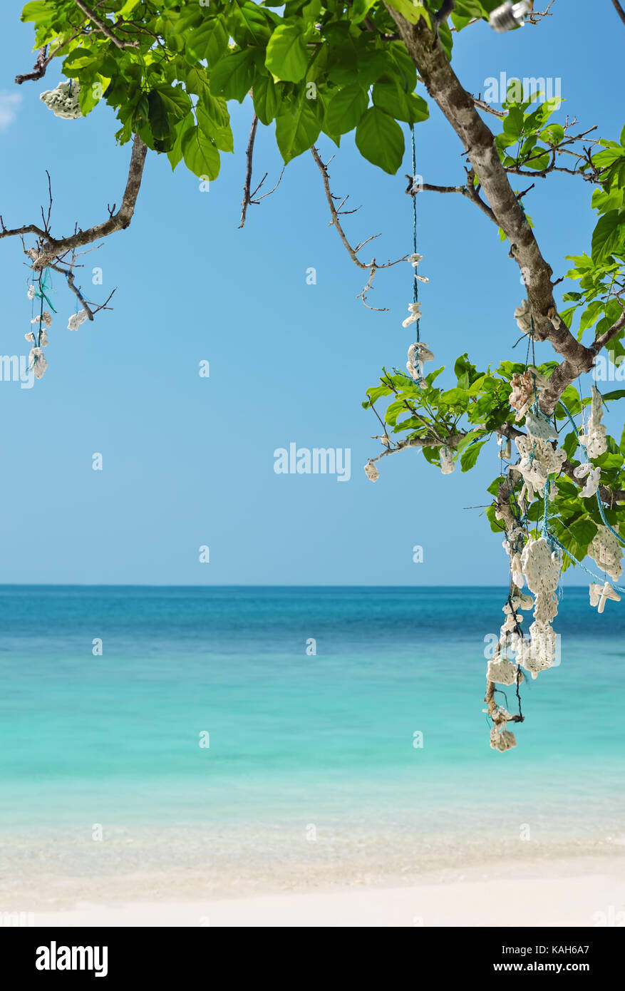 beautiful tropical sea. Beach background Stock Photo