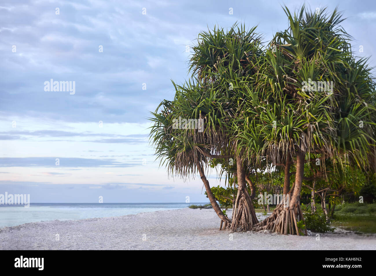 Paradise beach on the tropical island Stock Photo
