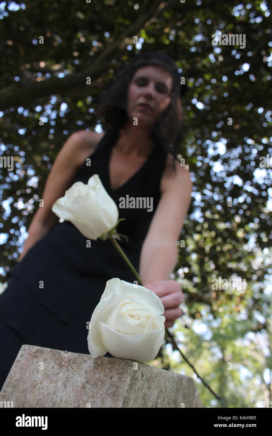 widow puts flowers on grave Stock Photo Alamy