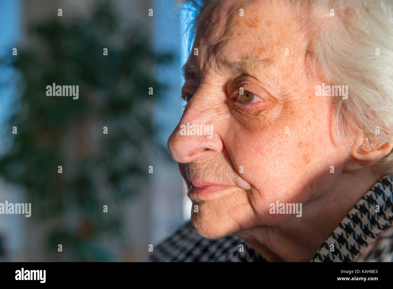 Profile portrait of elderly woman. Close view. Stock Photo