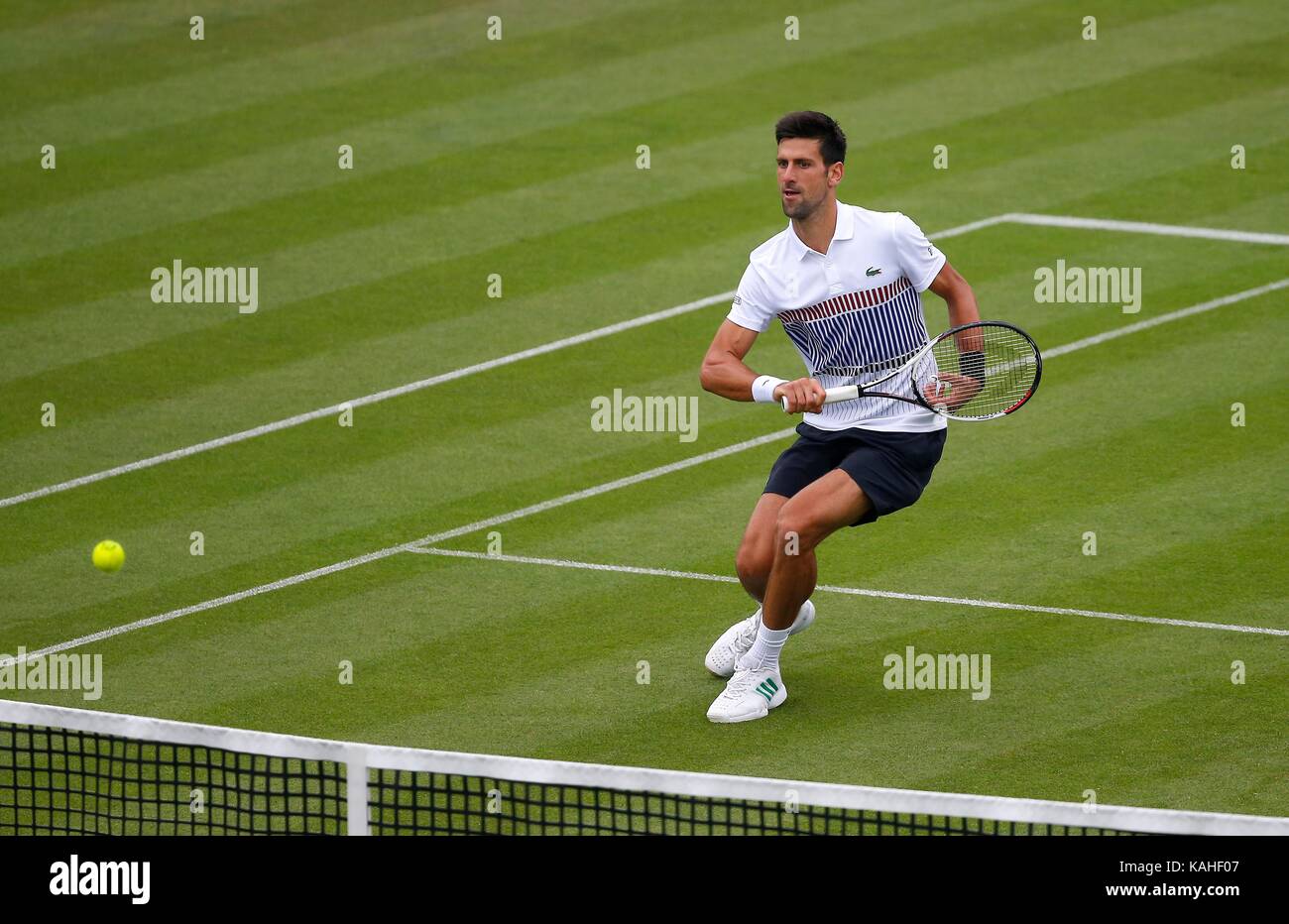 Novak Djokovic of Serbia in action during his match against Vasek Pospisil of Canada on day six of the Aegon International at Devonshire Park, Eastbourne. 28 Jun 2017 Stock Photo