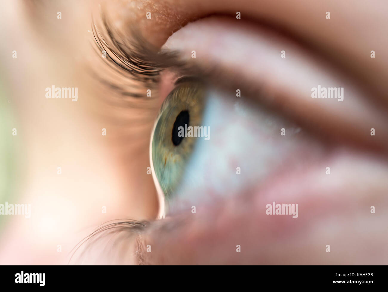 Eye of a woman, close-up Stock Photo