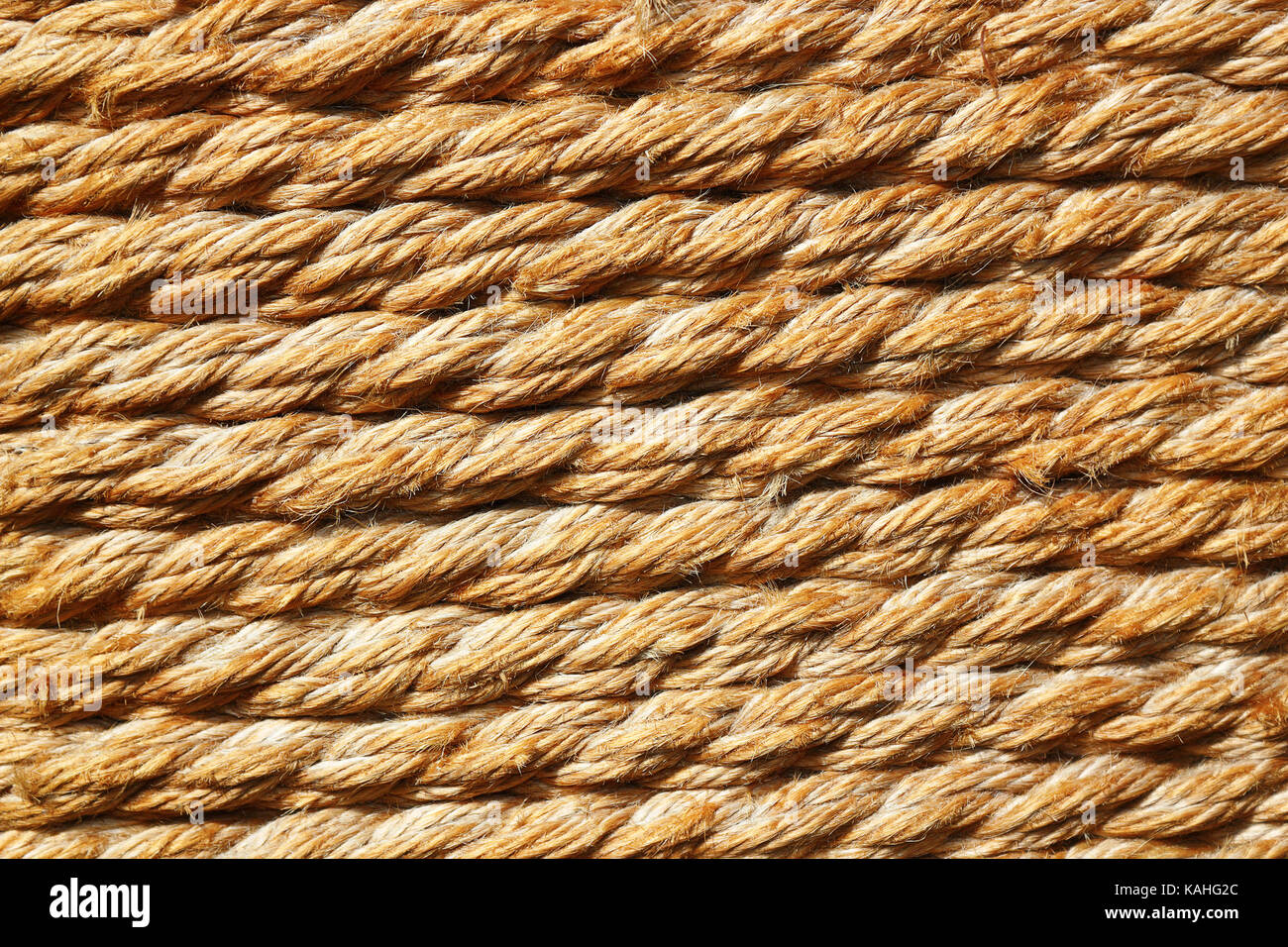 texture of trellis rope, background for your design Stock Photo
