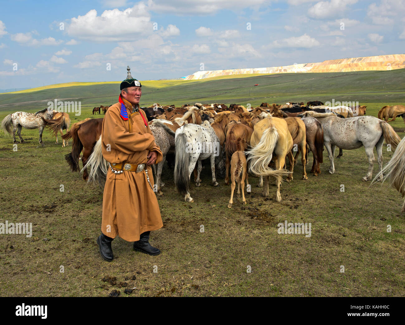 Mongolian man, horse-honored, in traditional dress with herds of horses, Mongolia Stock Photo