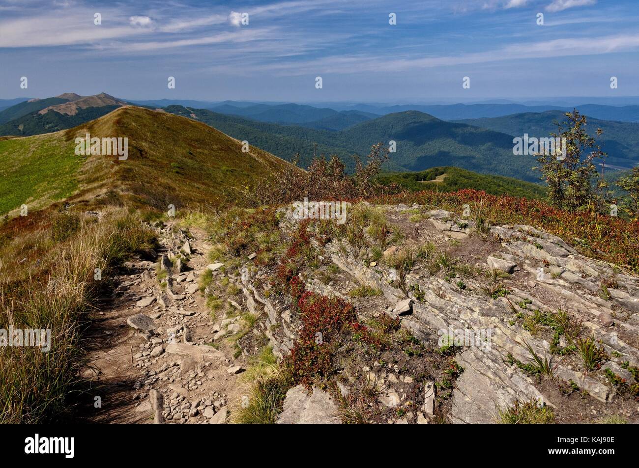 Polonina Carynska, Bieszczady Stock Photo - Alamy