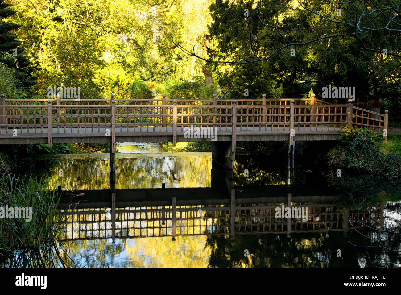 Wooden bridge over the Fish Pond in the grounds of Harewood House,Leeds,West Yorkshire,England,UK. Stock Photo