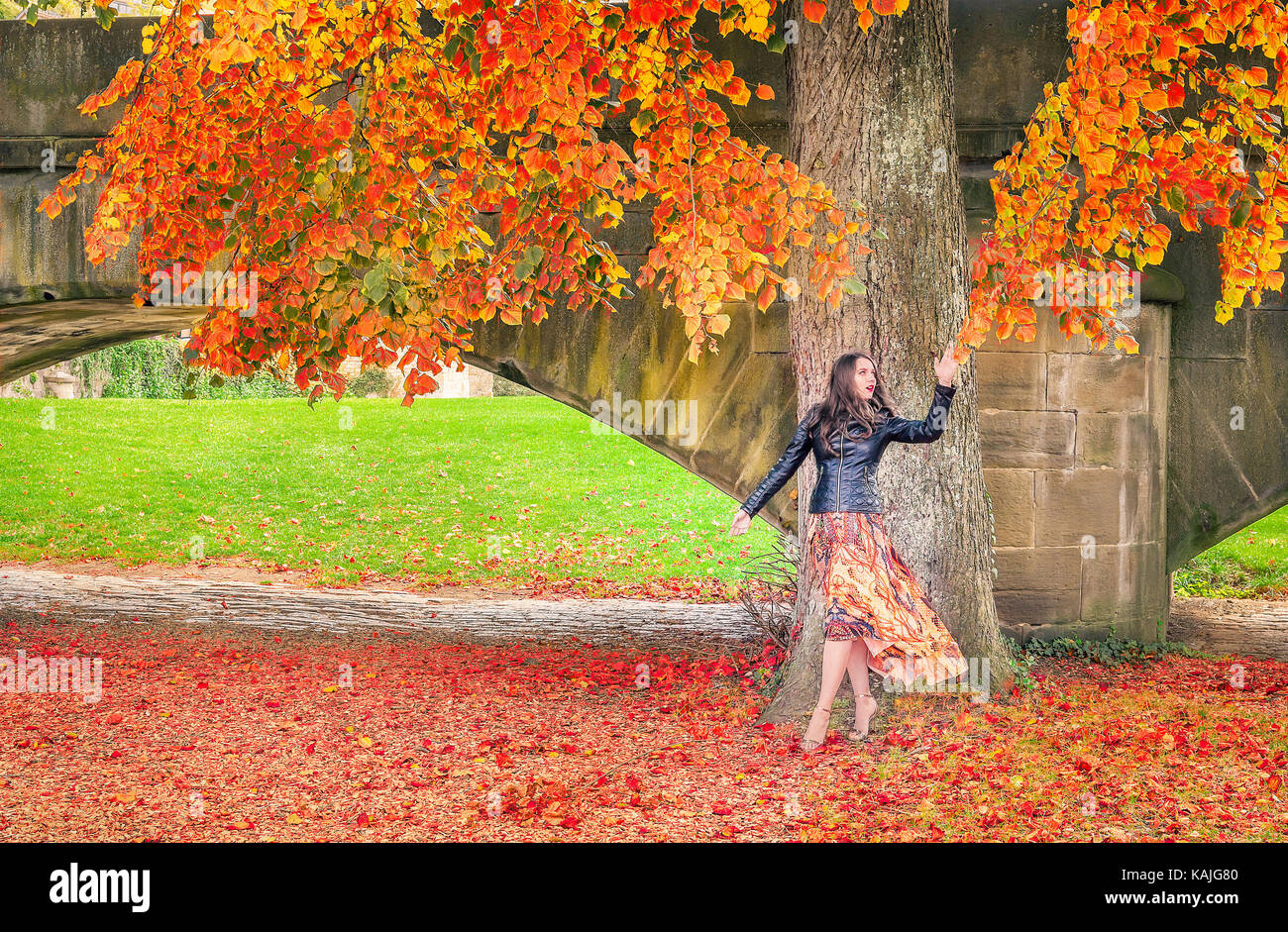 Beautiful young woman dressed in a modern dress and a black jacket, walks under a tree,  reaching the leaves, and enjoying the fall colors and atmosph Stock Photo
