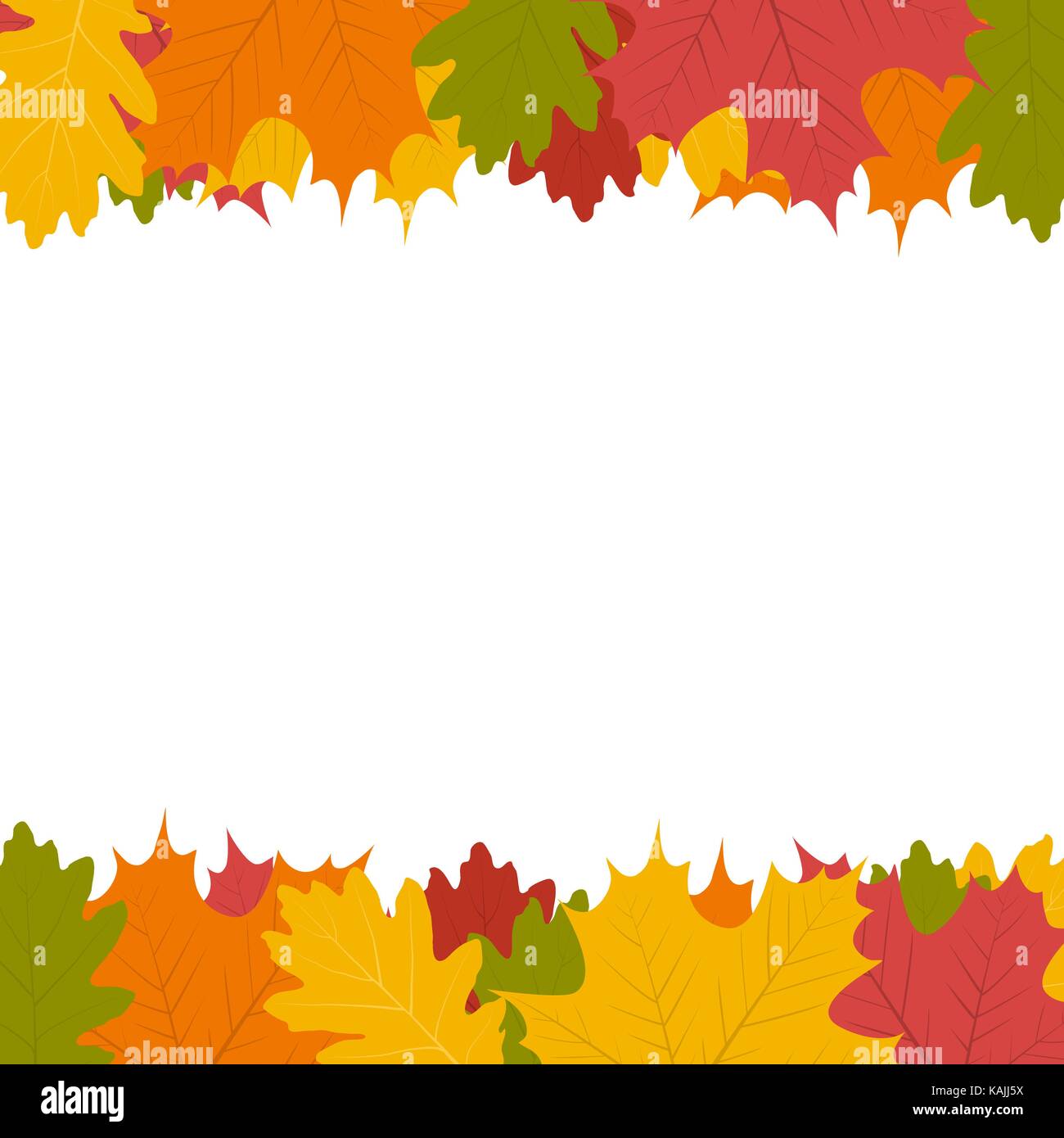 Autumn leaf on a white background Stock Vector