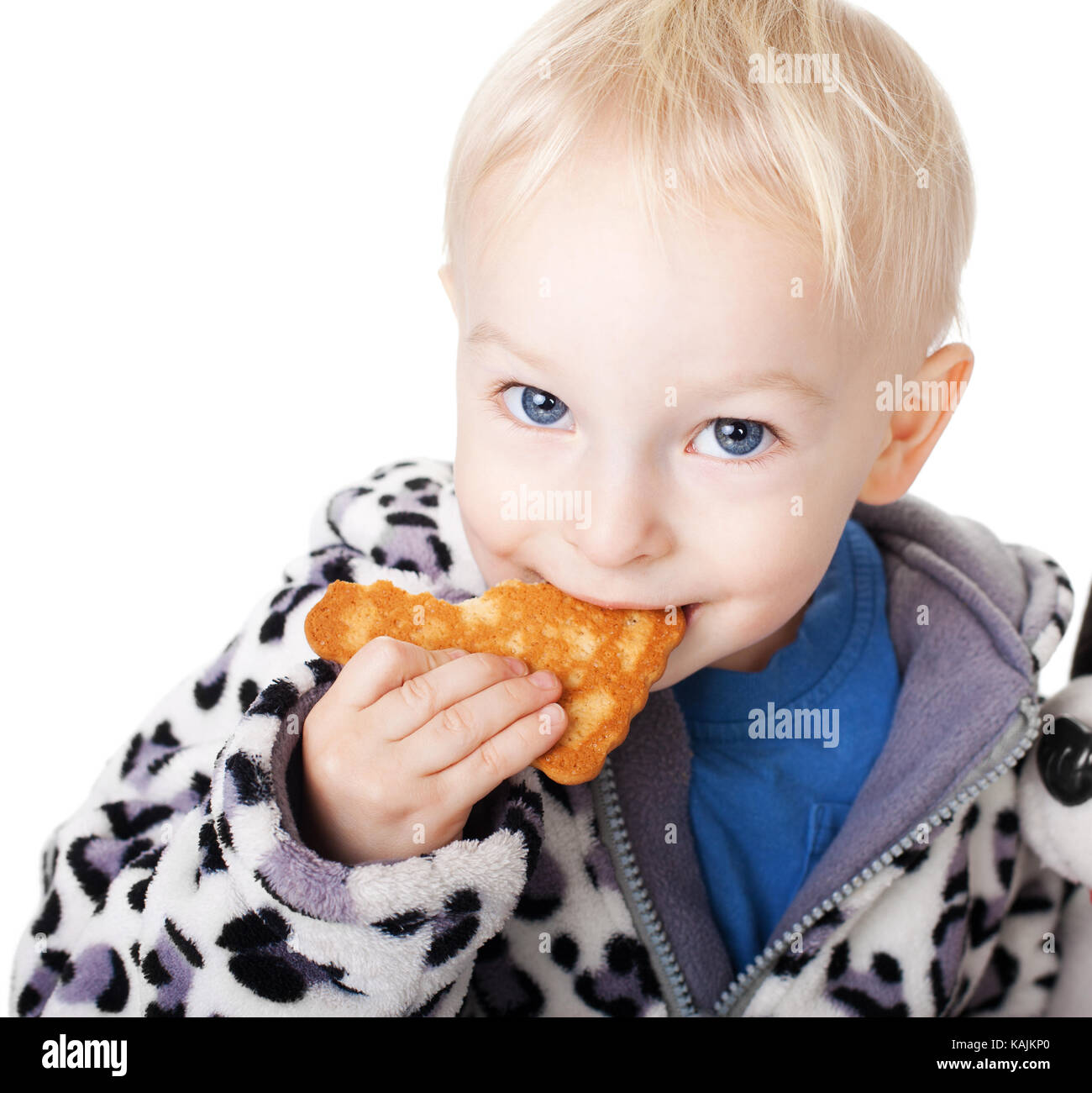 Cute little boy with his teddy eating a cookie isolated on white background Stock Photo
