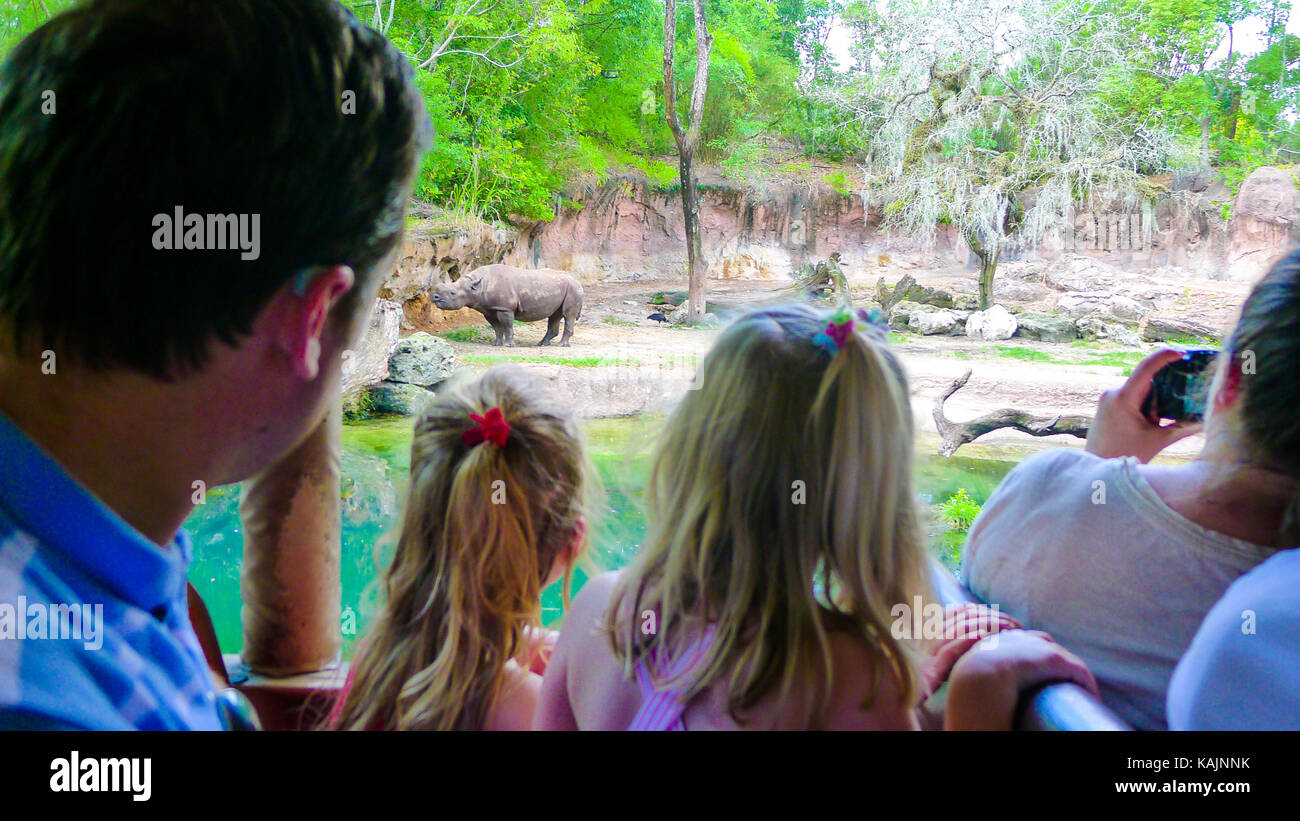 Safari Tour in the Animal Kingdom, Disney World ,Florida USA Stock