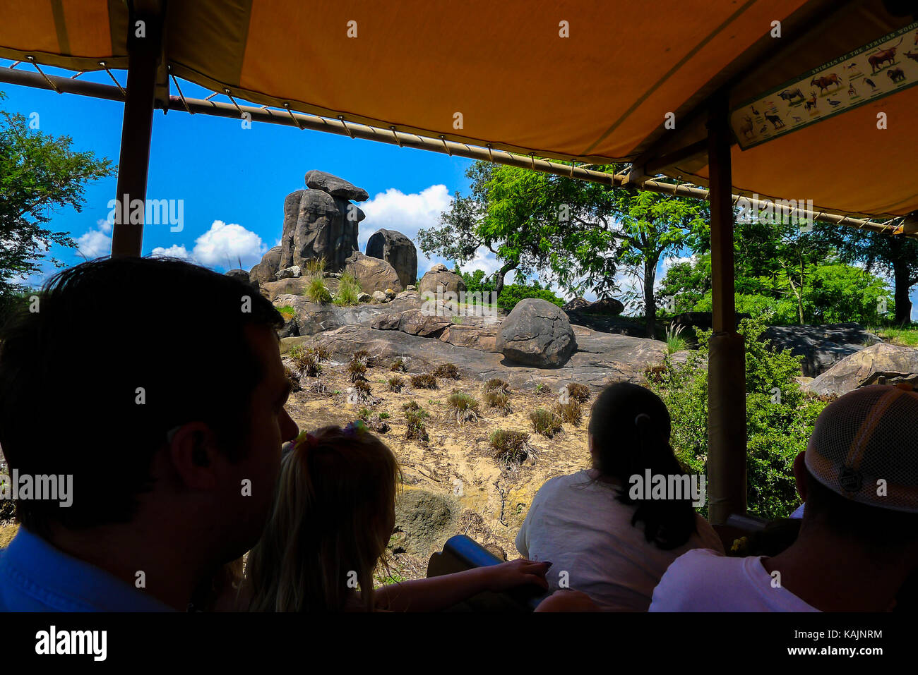 Disney animal kingdom safari hi-res stock photography and images - Alamy
