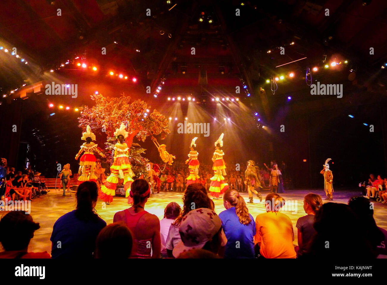 Lion King Show at Disney's MGM Hollywood Studios, Orlando, Florida, USA Stock Photo