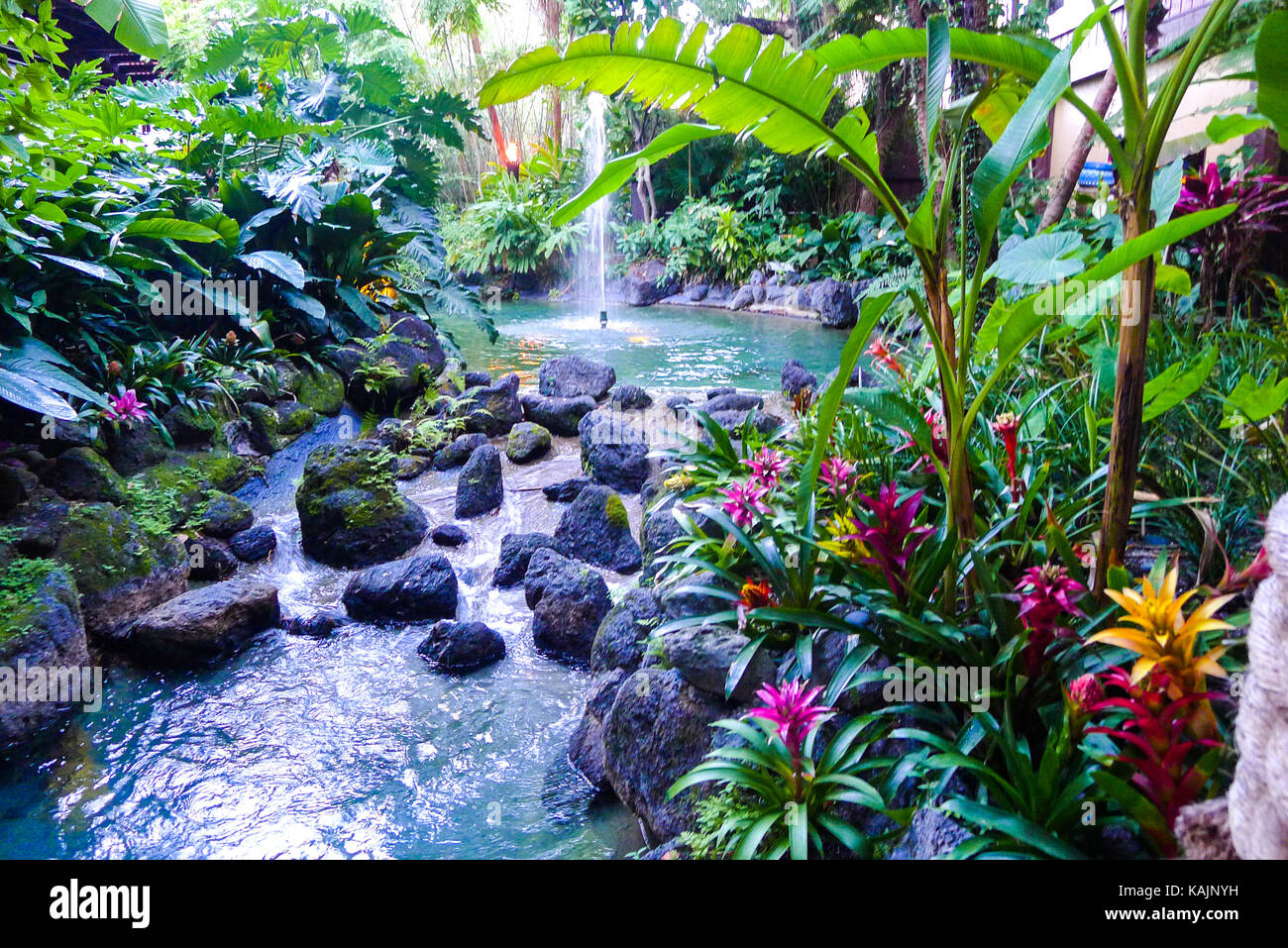 hotel water feature with rocks and water and plants and trees in